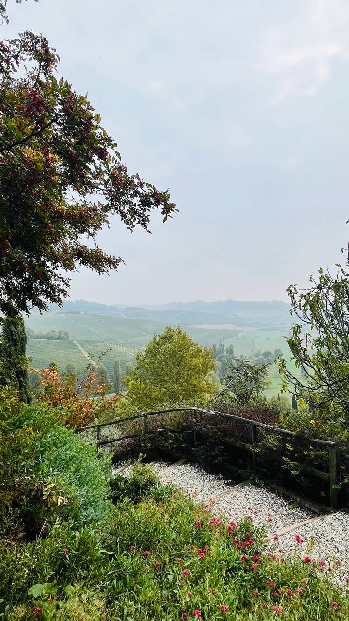 Belvedere fiorito affacciato sui vigneti nella foschia