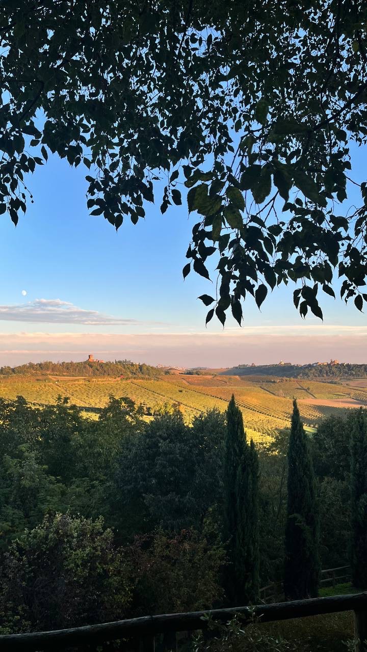 Vigneti dorati al tramonto con un castello sulla collina