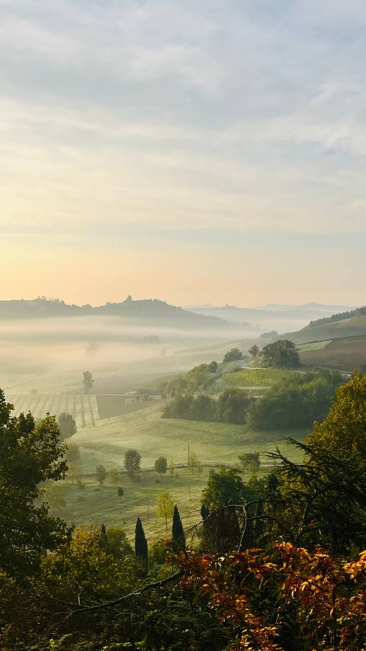 Valle nella nebbia del mattino con colori d'autunno